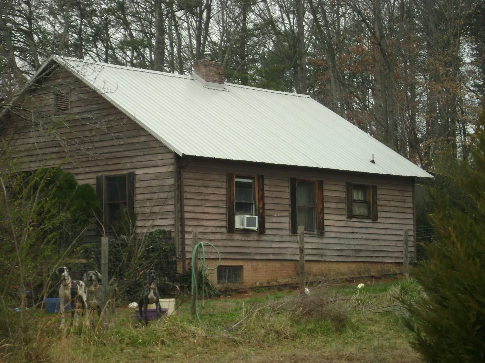 White metal roof on an old wood sided farmhouse, from a Asphalt Shingle Roof Repair job in Drake